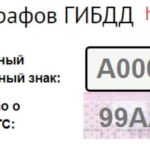 Ответственность за неуплату штрафа ГИБДД